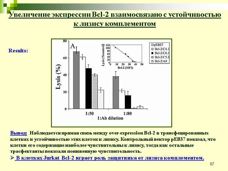67 Увеличение экспрессии Bcl-2 взаимосвязано с устойчивостью к лизису комплементом Results: Вывод:  Наблюдается